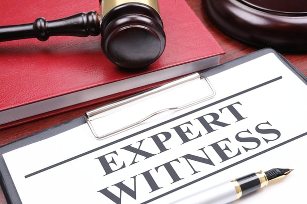 A Day in the Life of a Witness Expert: Unraveling Truths Beyond the Courtroom