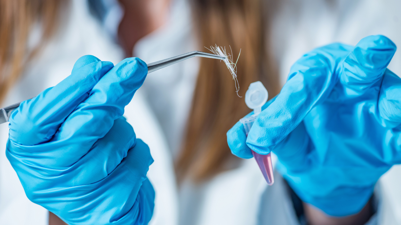 forensic-nurse-examining-blood